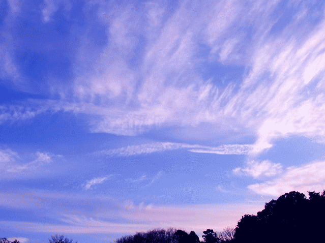 棚雲、放射雲、鱗雲 　◆早春の空