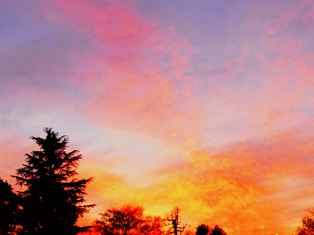 夕焼け  ◆早春の空