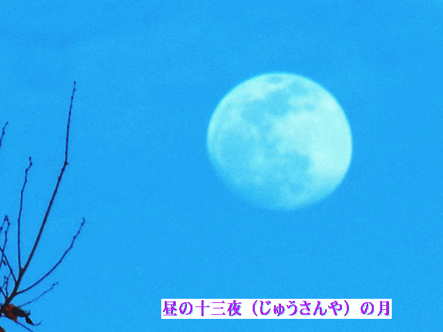 昼の十三夜（じゅうさんや）の月 ◆春の空- 