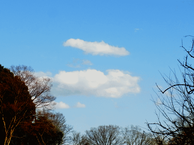 【二】の雲   ◆春の空