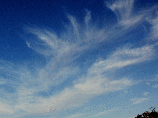 紗（しゃ)雲 　　◆春の空