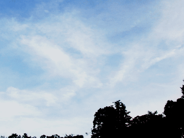6月の空　◆大輪の開花雲