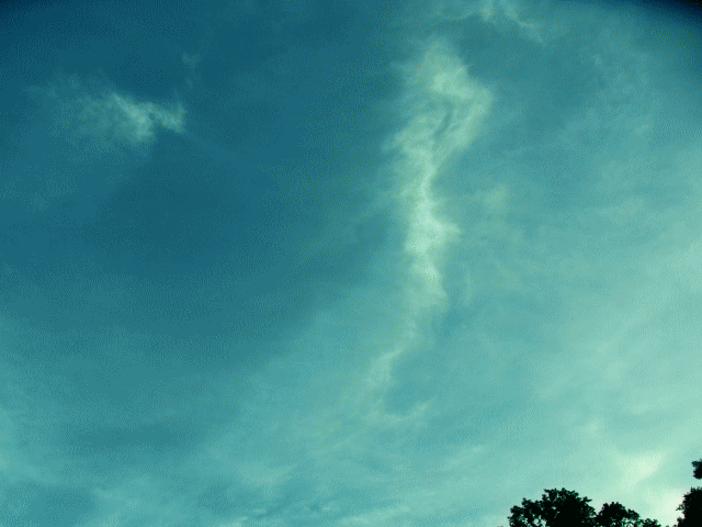 6月の空　◆白い昇り龍　雲竜