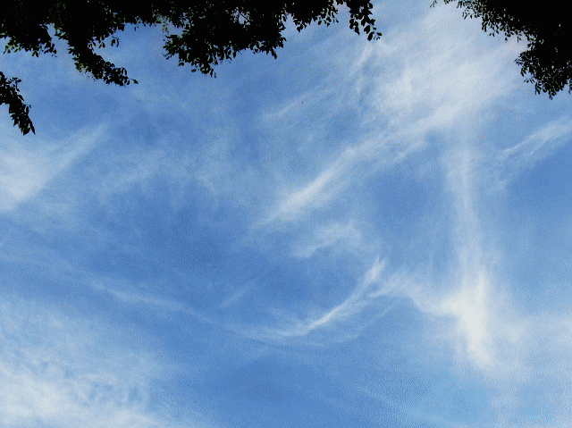6月の空  ◆縦(｜)斜め【／】絡む紗雲