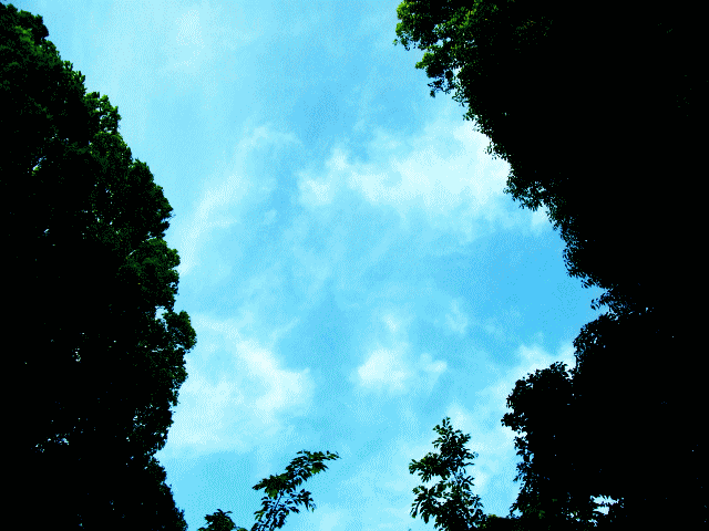 6月の空　◆ふわ～ふわ～と撹拌する紗雲