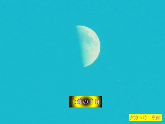 東南の夕月  上弦の半月(half moon ) ◆真夏の空