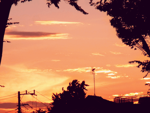 真夏の空 ◆夕焼け