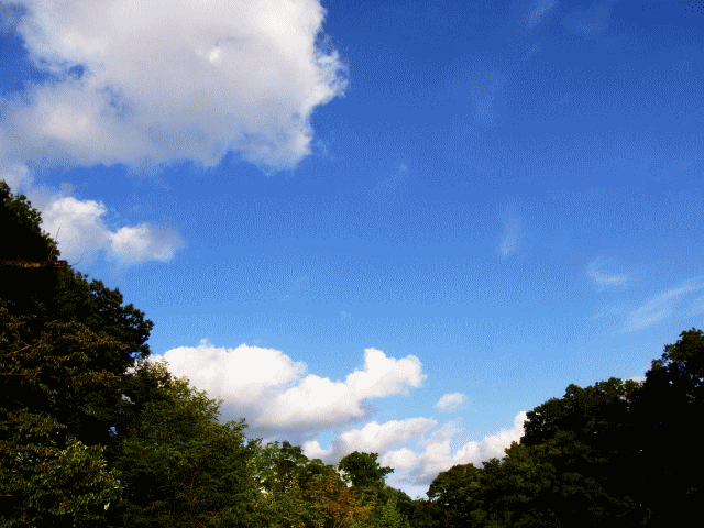 真夏の空 ◆白い雲