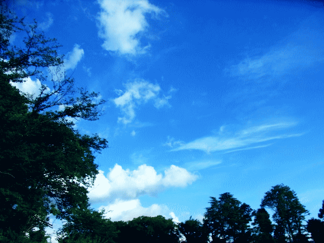 真夏の空  ◆白い雲