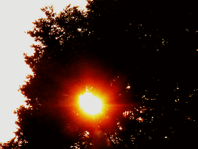 初秋の空　;◆木洩れ日