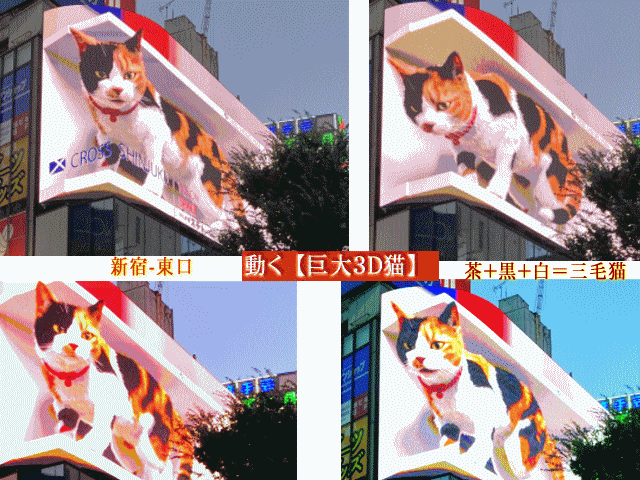 動く【巨大３D猫】  拡大 [４態] 角ビル新宿-東口