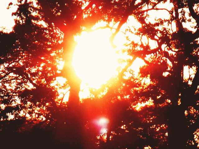 秋の空   ;◆木洩れ日
