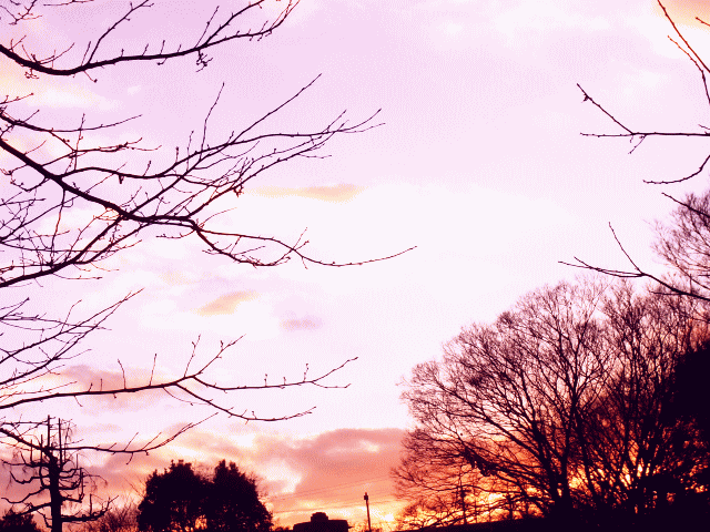 初春の空　◆夕焼け