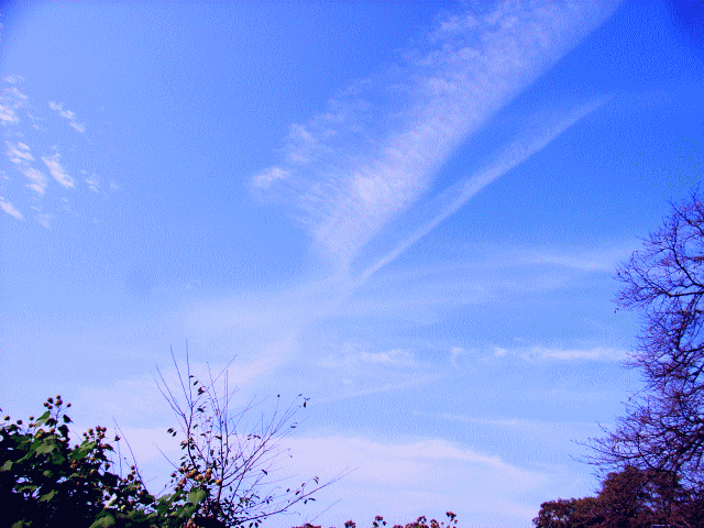 初春の空 　◆斜め【／】と横(―)白い雲