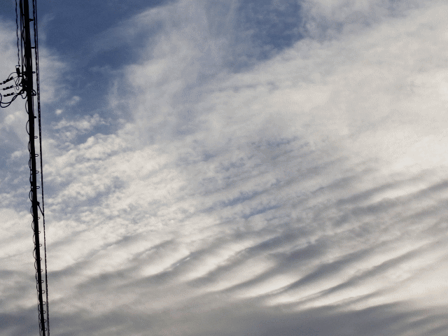 初春の空　　寒い…白い刺身雲