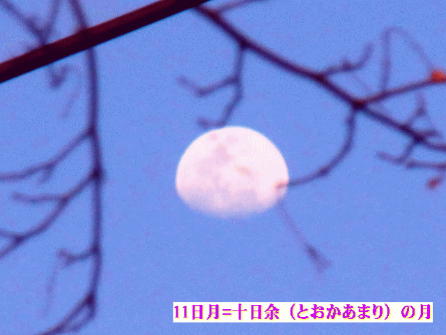 春の空　◆ 11日月 ＝十日（とおか）あまりの月　【月相観】
