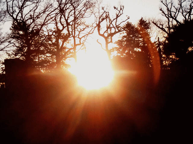 春の空　◆木洩れ日