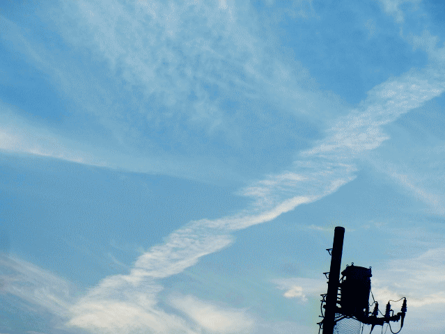 初夏の空　◆白いらせん（螺旋）雲