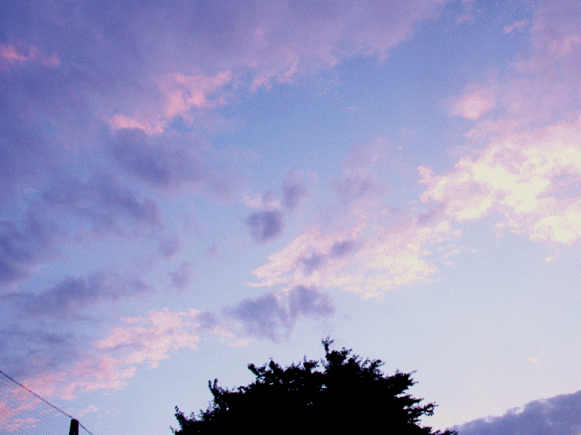 夏の空  　◆夕焼け