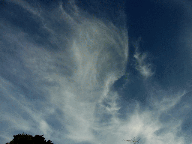 夏の空 　◆白絹（きぬ）＝シルク雲