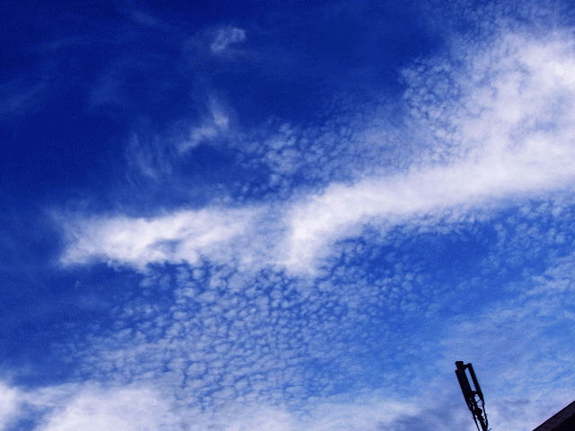 初秋の空　◆鱗雲（うろこぐも）　上層雲