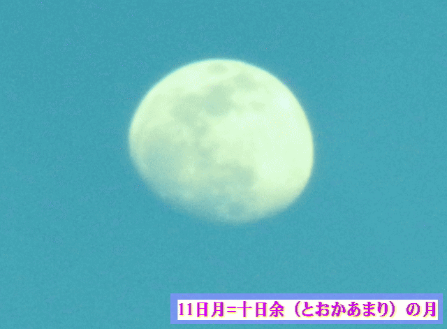 夕月（ゆうづき） 11日月 ＝十日（とおか）あまりの月　【月相観＝月輪観】