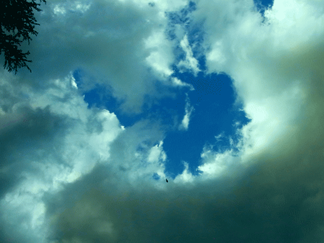 梅雨の空 　小さな青空と鳥影