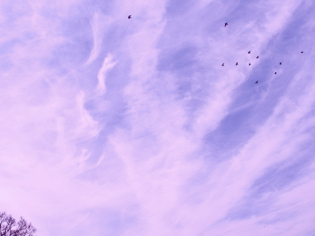 梅雨の空　放射雲と、飛ぶ鳥たち