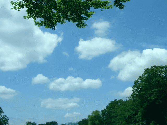 梅雨の空　◇絹雲と大雲